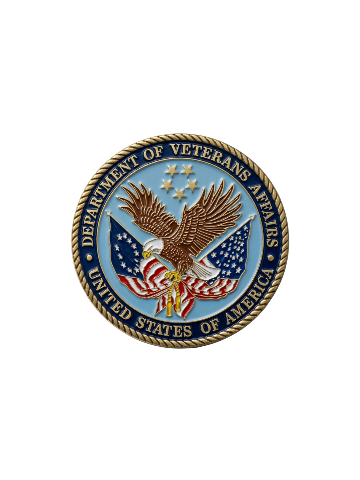 VA Lapel Pin