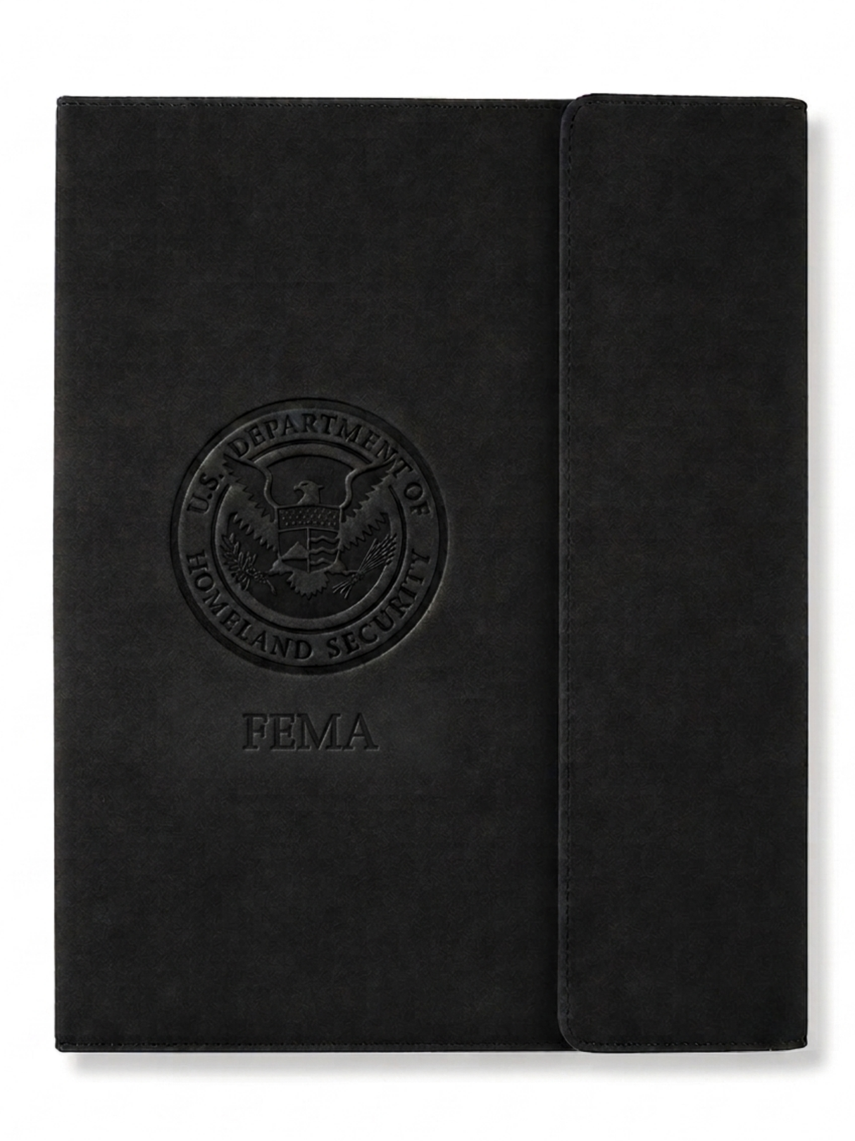 FEMA Executive Portfolio