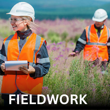 Fieldwork