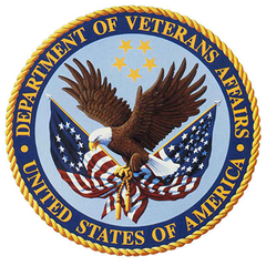 Collection image for: Veterans Affairs
