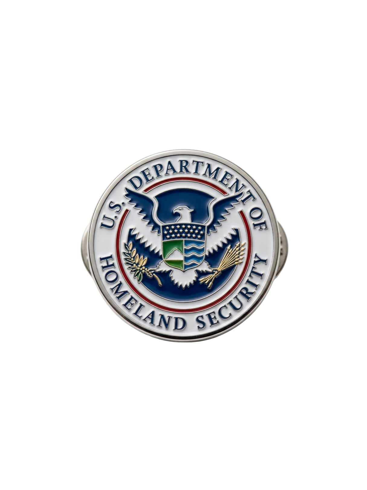 DHS Lapel Pin